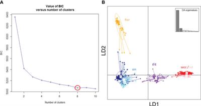 Variability of cell wall recalcitrance and composition in genotypes of Miscanthus from different genetic groups and geographical origin